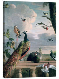 Stampa su tela  Palazzo di Amsterdam con uccelli esotici - Melchior de Hondecoeter