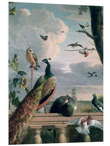 Foam board print Palace of Amsterdam with Exotic Birds