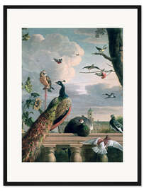 Gerahmter Kunstdruck Palast von Amsterdam mit exotischen Vögeln