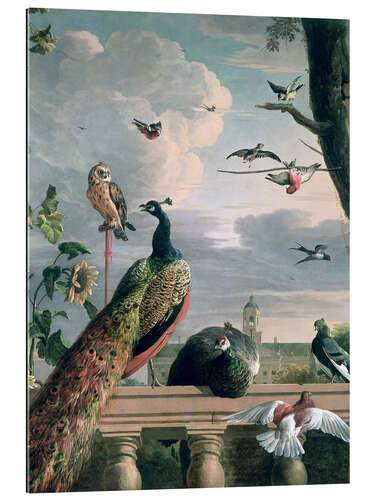 Gallery print Palace of Amsterdam with exotic birds