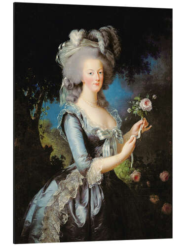 Aluminiumtavla Marie Antoinette med en ros