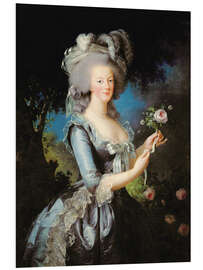 Foam board print Marie Antoinette with a Rose