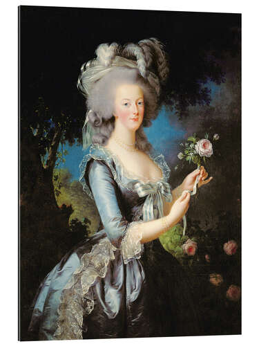 Gallery print Marie Antoinette with a Rose