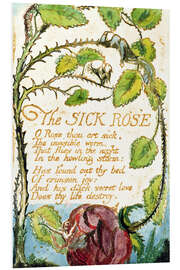 Tableau en PVC The Sick Rose