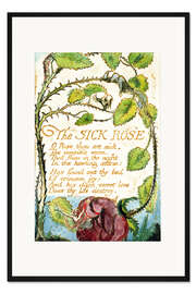 Gerahmter Kunstdruck Die kranke Rose