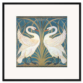 Gerahmter Kunstdruck Schwan, Binse und Iris