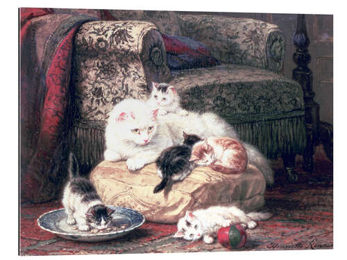 Quadro em plexi-alumínio Cat with her Kittens on a Cushion