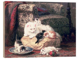 Wood print Cat with her Kittens on a Cushion