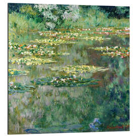 Magnettafel Seerosenteich II