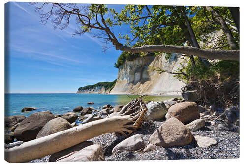 Canvas print Baltic Sea coast on the island Ruegen (Germany)