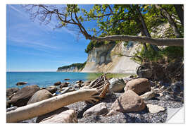 Selvklebende plakat Baltic Sea coast on the island Ruegen (Germany)