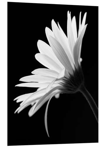 Tableau en PVC La fleur
