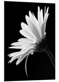 Tableau en PVC La fleur