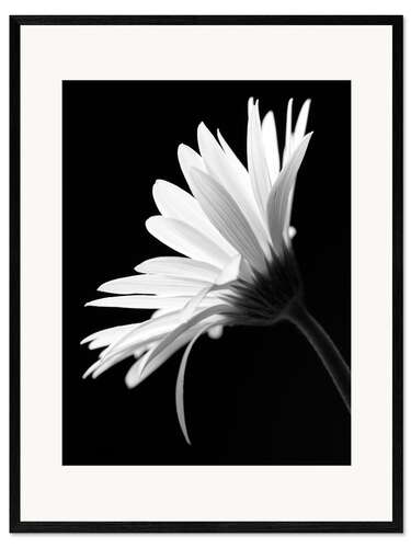 Gerahmter Kunstdruck Die Blume