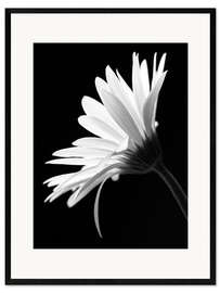 Gerahmter Kunstdruck Die Blume