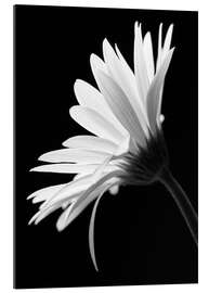 Gallery print The flower