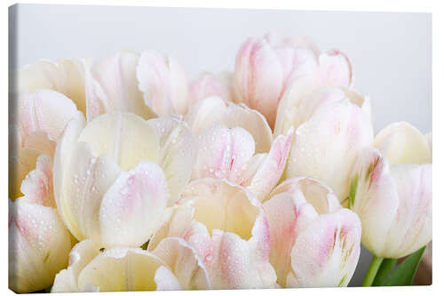 Canvas print Pastel-colored tulips 06