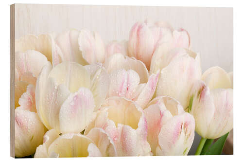 Quadro de madeira Pastel-colored tulips 06
