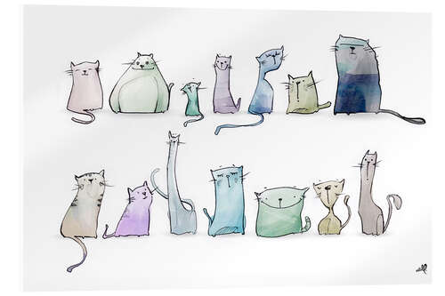 Quadro em acrílico Gatos