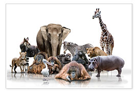 Wall print  wild animals - Werner Dreblow