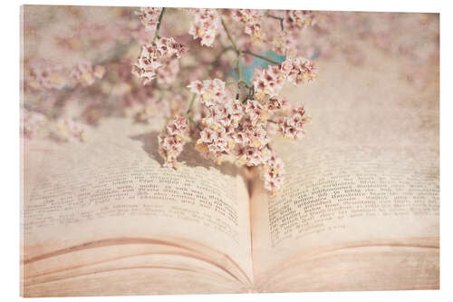 Acrylglas print The old book