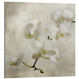 Magnettafel Weiße Orchidee