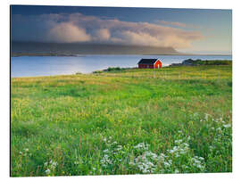 Quadro em alumínio Norway I