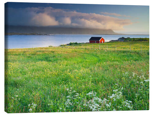 Lærredsbillede Norway I