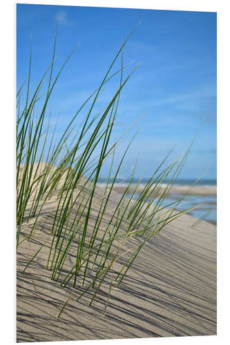 Cuadro de PVC Dune grasses
