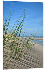 Cuadro de PVC Dune grasses - Susanne Herppich