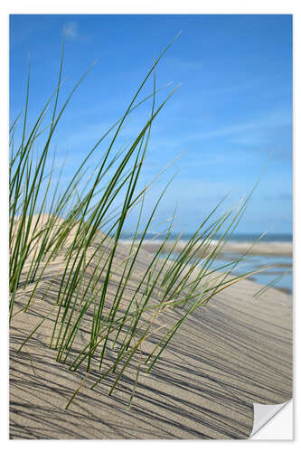 Vinilo para la pared Dune grasses