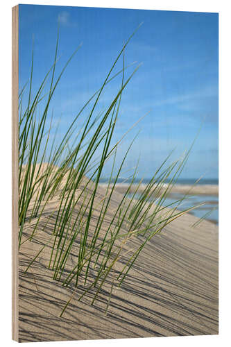 Trätavla Dune grasses