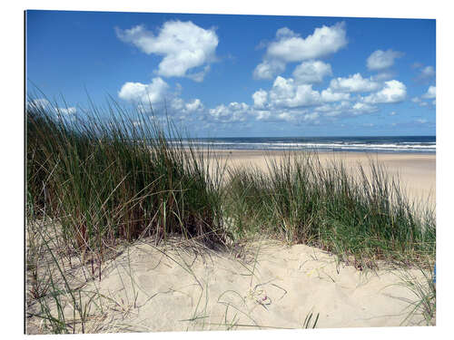 Gallery print Fantastic dune landscape