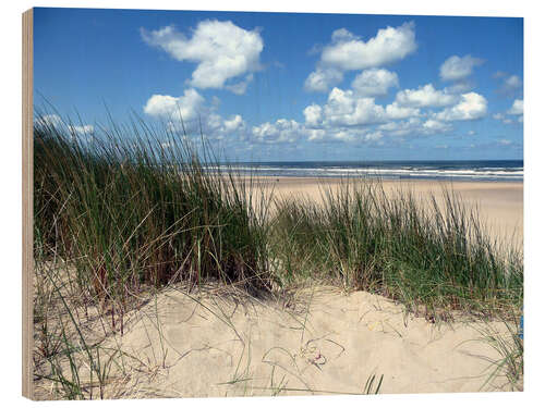Cuadro de madera Fantastic dune landscape