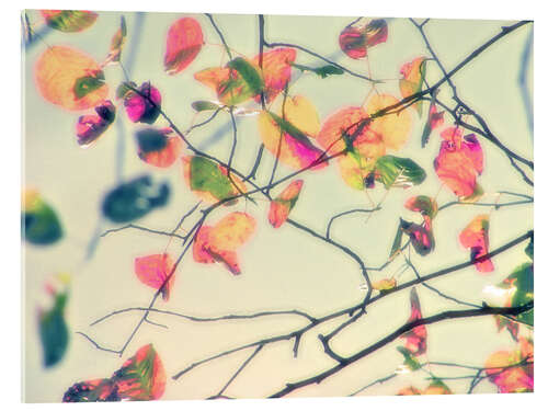 Acrylic print wush