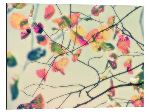 Aluminium print wush