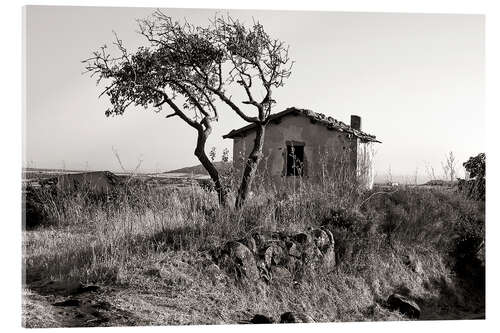 Quadro em acrílico Rural idyll on the island of Sardinia