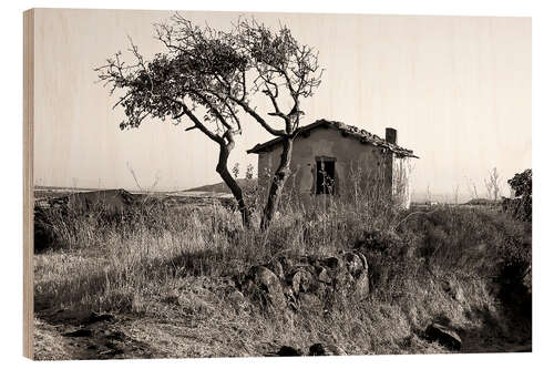 Quadro de madeira Rural idyll on the island of Sardinia