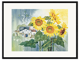 Gerahmter Kunstdruck Strahlen der Sonnenblumen