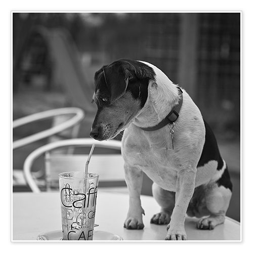 Poster Latte Macchiato Hund