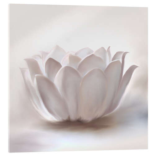 Acrylic print White lotus