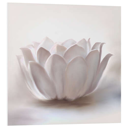 PVC-taulu White lotus