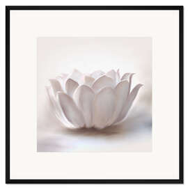 Gerahmter Kunstdruck Weißer Lotus