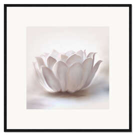 Framed art print White lotus