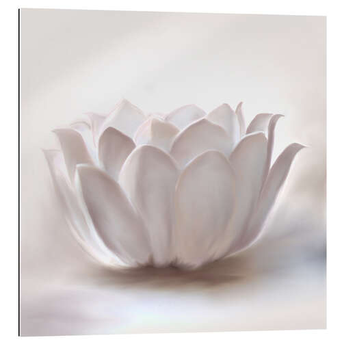 Galleriataulu White lotus