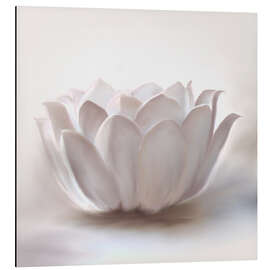 Magnettafel Weißer Lotus