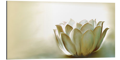 Aluminium print White lotus