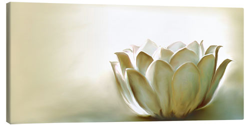 Canvas print White lotus