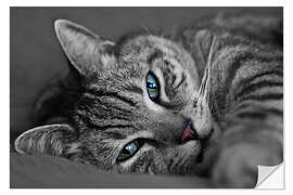 Sticker mural Ali le chat 