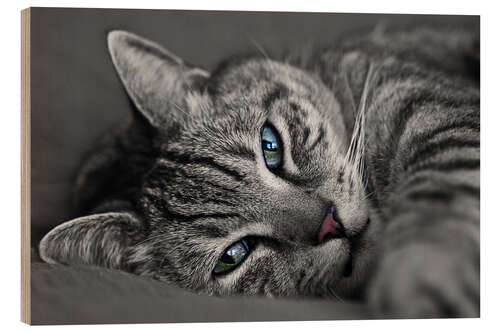 Tableau en bois Ali le chat 